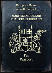Кожаные обложки для паспортов всего мира