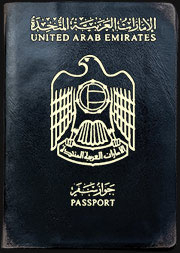 Кожаные обложки для паспортов всего мира